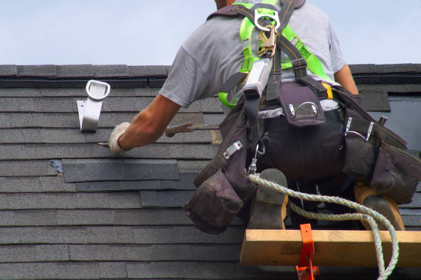 Best Gutter Installation and Roofing  in Audubon, NJ