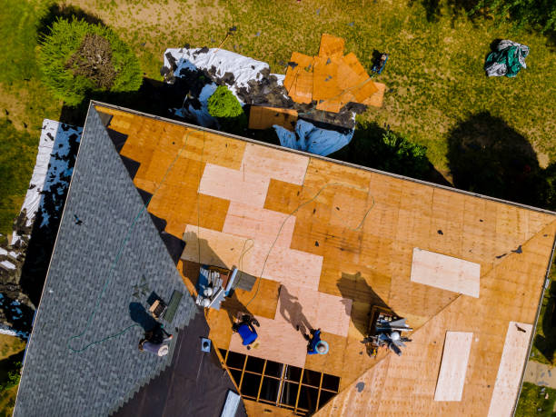 Best Storm Damage Roof Repair  in Audubon, NJ